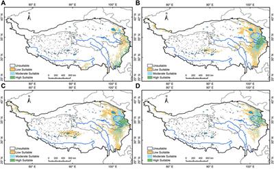 Dynamic changes in forest cover and human activities during the Holocene on the northeast Tibetan plateau